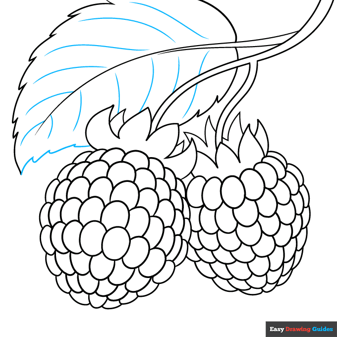 Raspberry step-by-step drawing tutorial: step 9