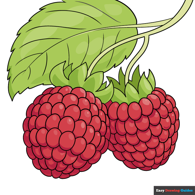 Raspberry step-by-step drawing tutorial: step 11