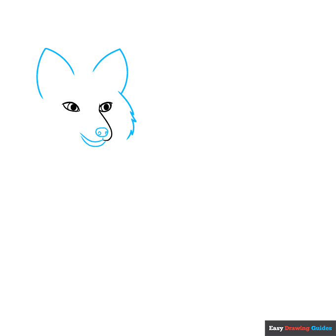 Red Fox step-by-step drawing tutorial: step 2