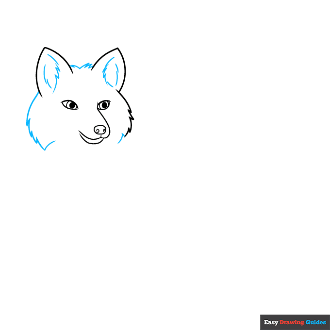 Red Fox step-by-step drawing tutorial: step 3