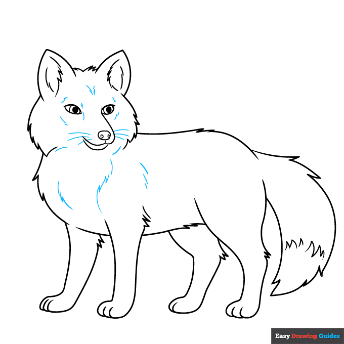 Red Fox step-by-step drawing tutorial: step 9