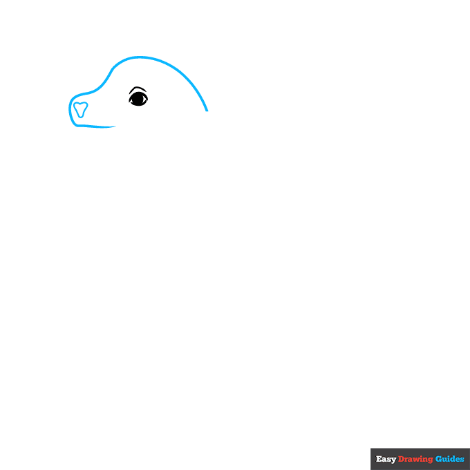 Sea Lion step-by-step drawing tutorial: step 2