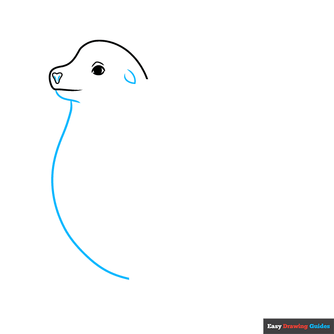 Sea Lion step-by-step drawing tutorial: step 3