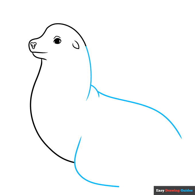 Sea Lion step-by-step drawing tutorial: step 4