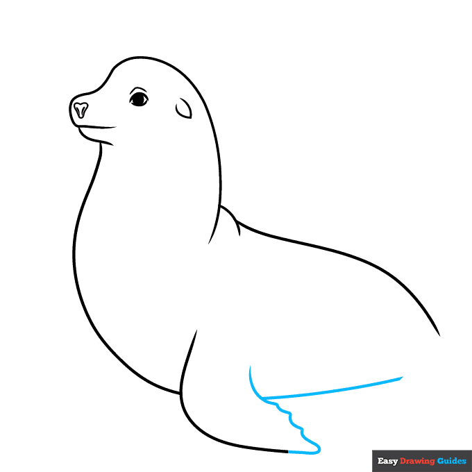 Sea Lion step-by-step drawing tutorial: step 5