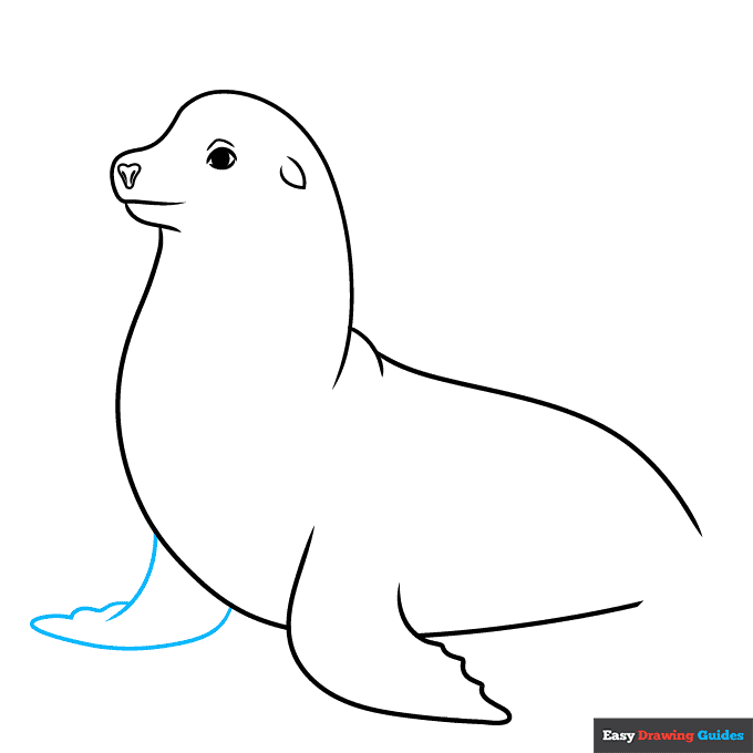 Sea Lion step-by-step drawing tutorial: step 6