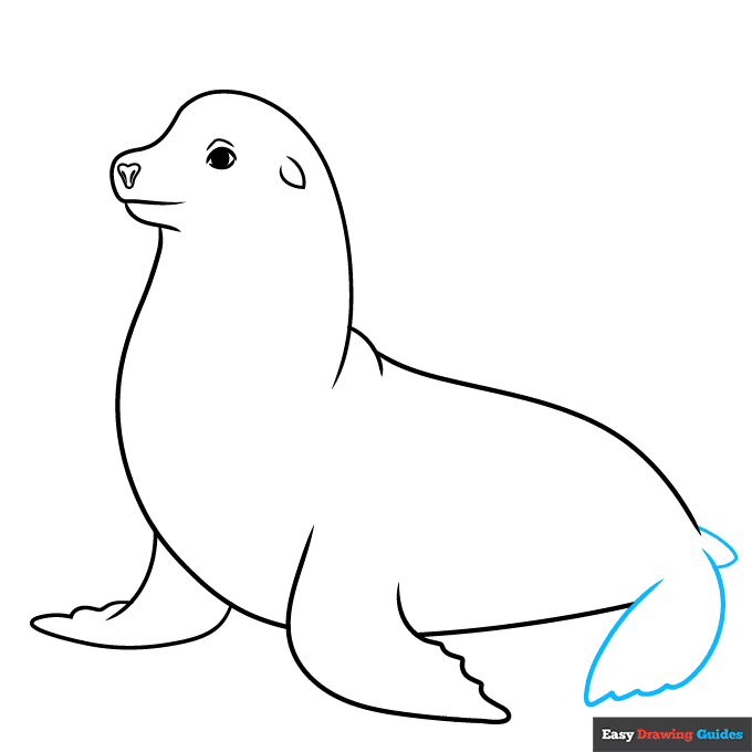 Sea Lion step-by-step drawing tutorial: step 7