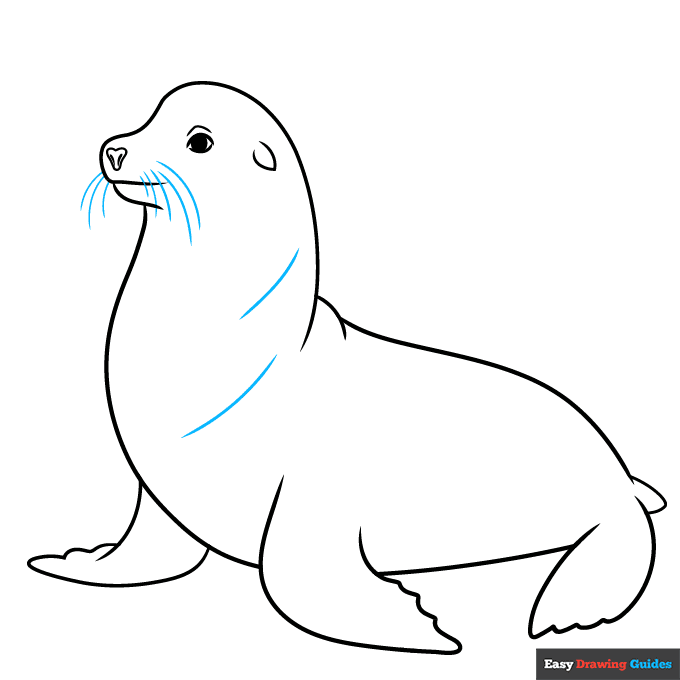 Sea Lion step-by-step drawing tutorial: step 8