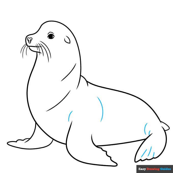 Sea Lion step-by-step drawing tutorial: step 9