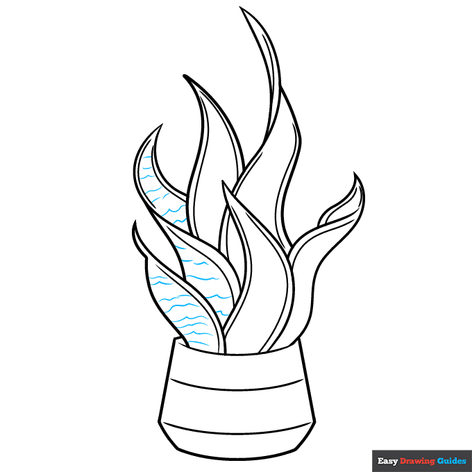 Snake Plant step-by-step drawing tutorial: step 7