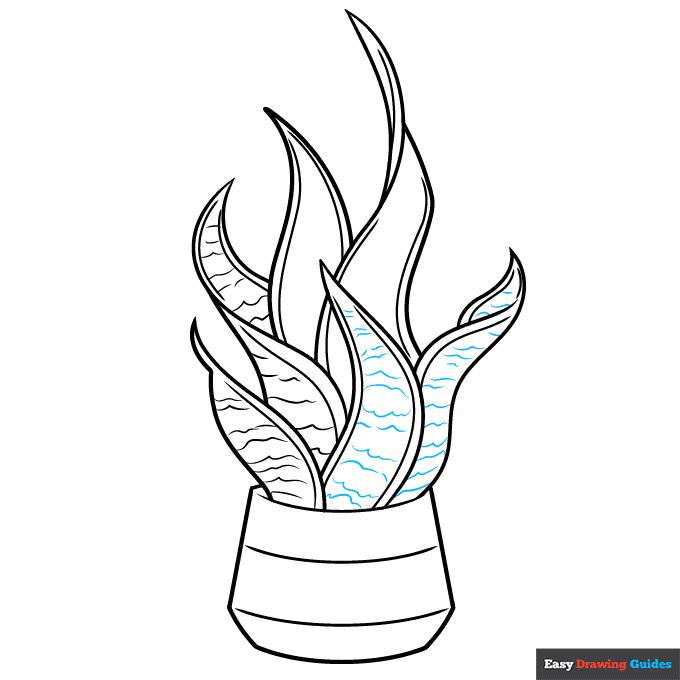 Snake Plant step-by-step drawing tutorial: step 8
