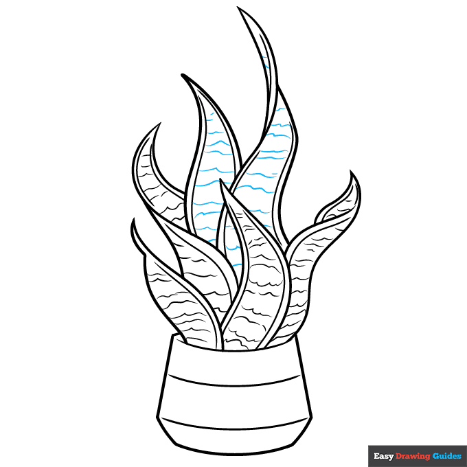 Snake Plant step-by-step drawing tutorial: step 9