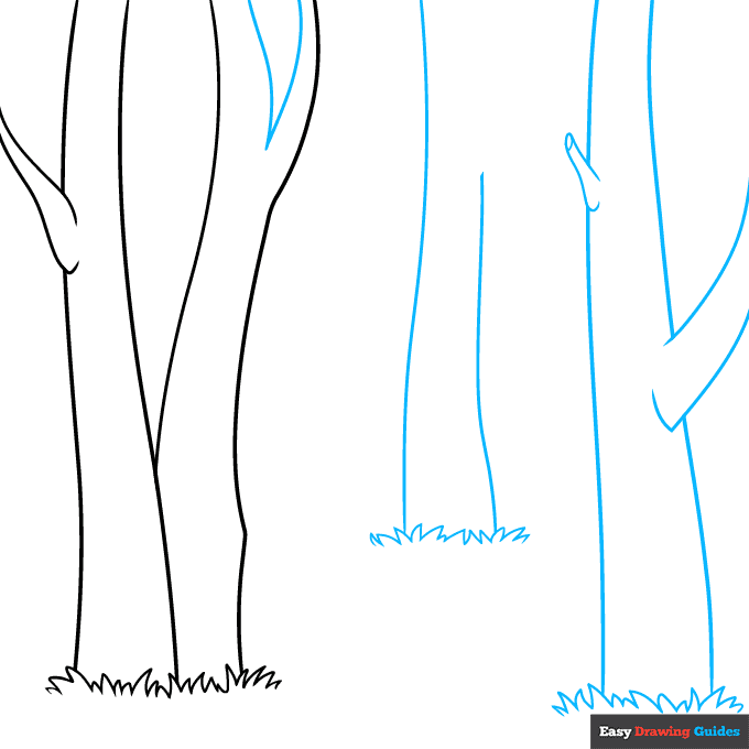 Birch Trees step-by-step drawing tutorial: step 2