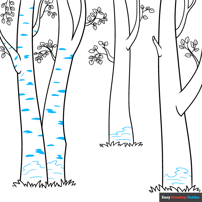 Birch Trees step-by-step drawing tutorial: step 6