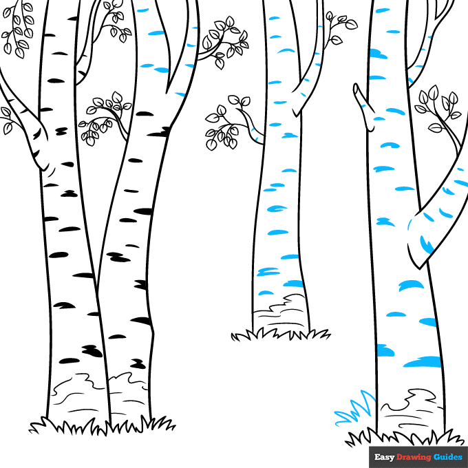 Birch Trees step-by-step drawing tutorial: step 7