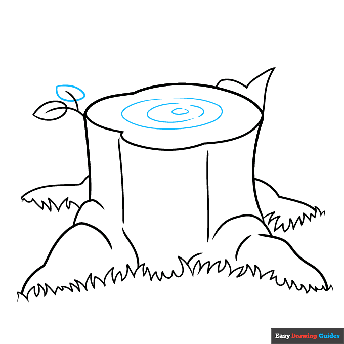 Easy Tree Stump step-by-step drawing tutorial: step 8
