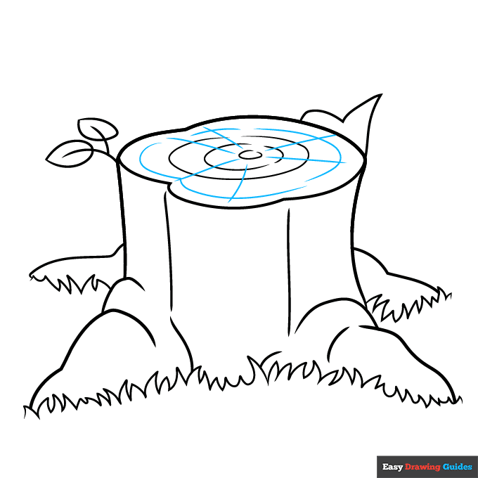 Easy Tree Stump step-by-step drawing tutorial: step 9