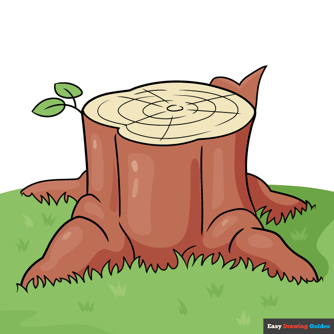 Easy Tree Stump step-by-step drawing tutorial: step 11