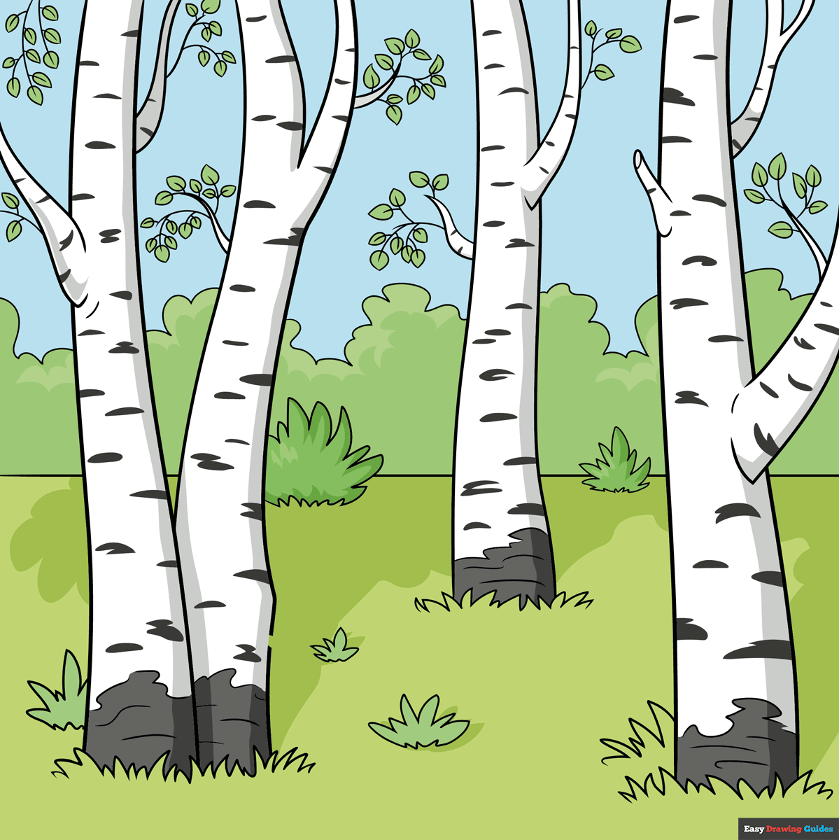 How to Draw Birch Trees Featured Image