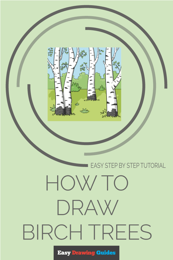 How to Draw Birch Trees Pinterest Image