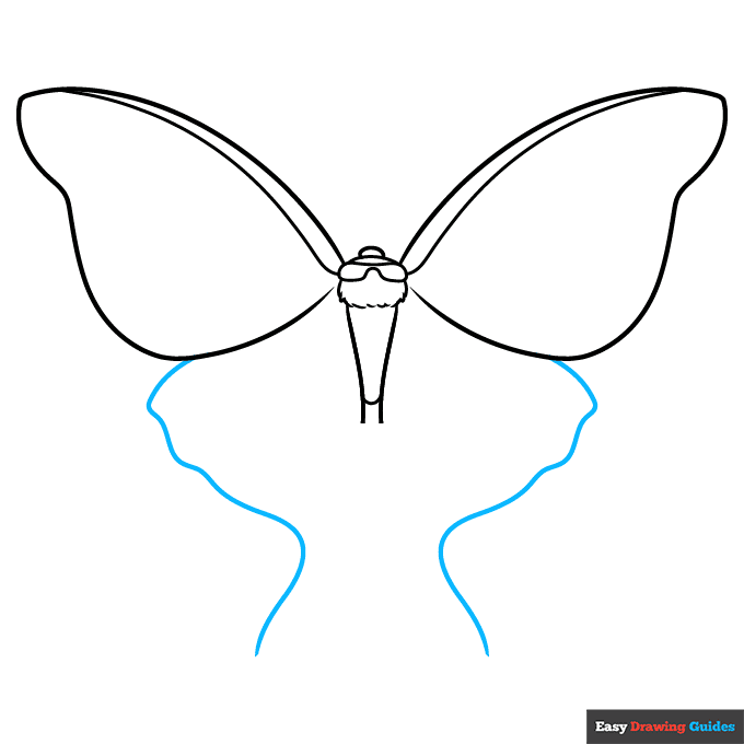 Luna Moth step-by-step drawing tutorial: step 4
