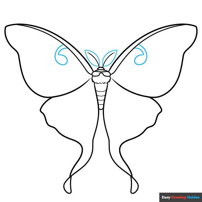 Luna Moth step-by-step drawing tutorial: step 6
