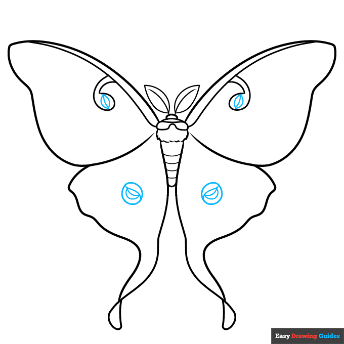 Luna Moth step-by-step drawing tutorial: step 7