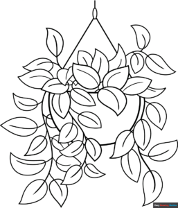 Free Printable Pothos Coloring Page