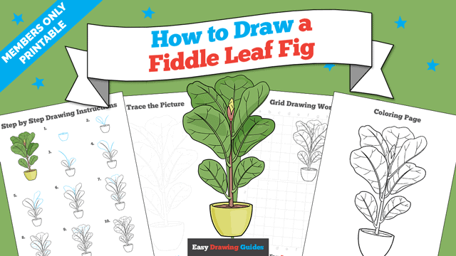 How to Draw a Fiddle Leaf Fig Printable Thumbnail