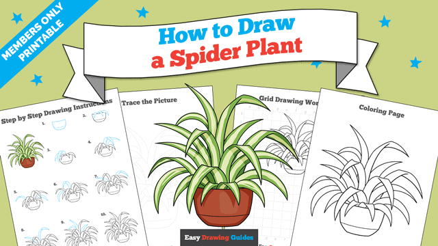 How to Draw a Spider Plant Printable Thumbnail