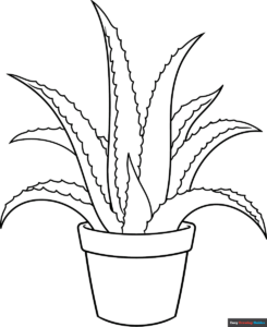 Free Printable Aloe Vera Coloring Page