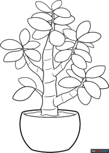 Free Printable Jade Plant Coloring Page