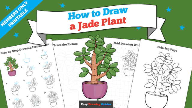 How to Draw a Jade Plant Printable Thumbnail