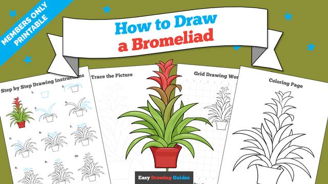 How to Draw a Bromeliad Printable Thumbnail