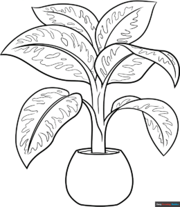 Free Printable Dumb Cane Plant Coloring Page