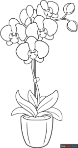 Free Printable Orchid in a Pot Coloring Page