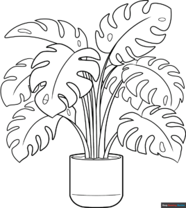 Free Printable Swiss Cheese Plant Coloring Page