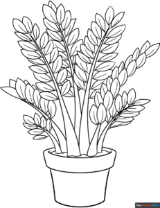 Free Printable ZZ Plant Coloring Page