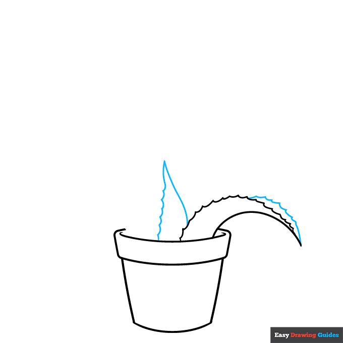 Aloe Vera step-by-step drawing tutorial: step 3