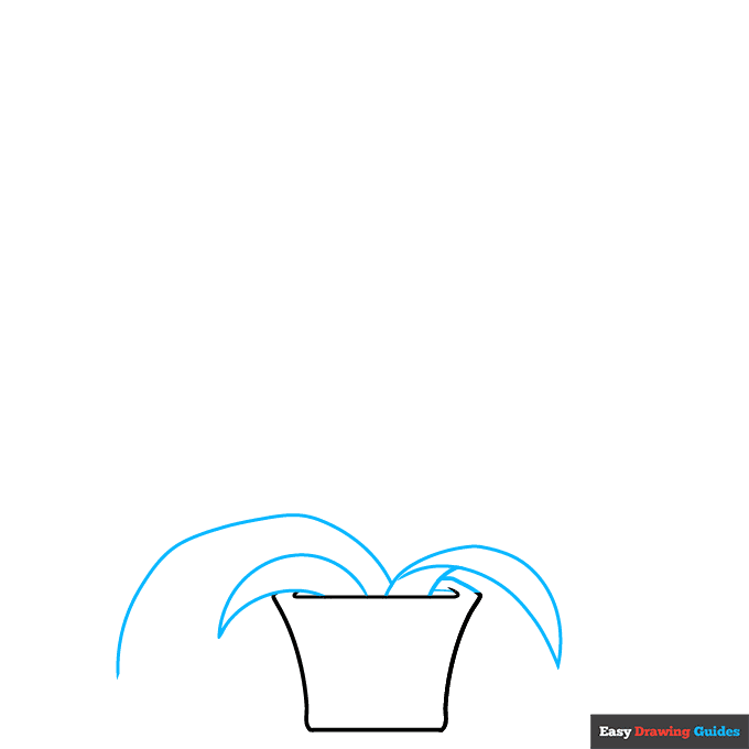 Bromeliad step-by-step drawing tutorial: step 2