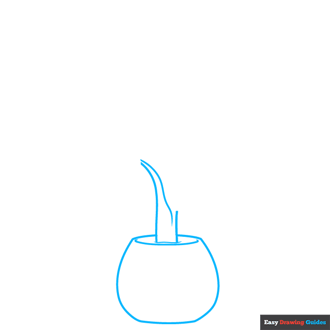 Dumb Cane Plant step-by-step drawing tutorial: step 1
