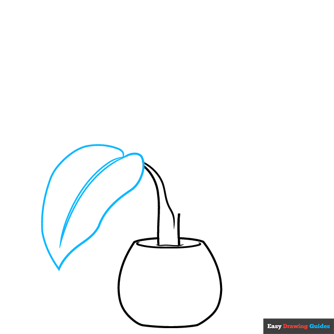 Dumb Cane Plant step-by-step drawing tutorial: step 2