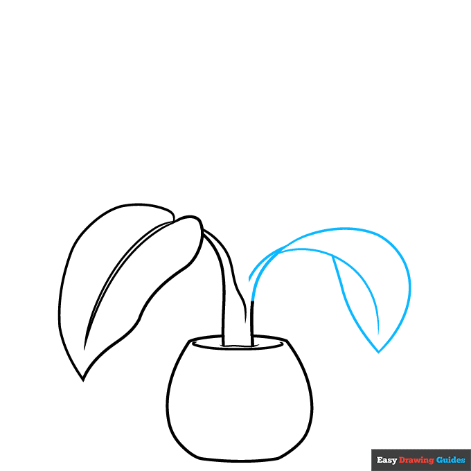Dumb Cane Plant step-by-step drawing tutorial: step 3