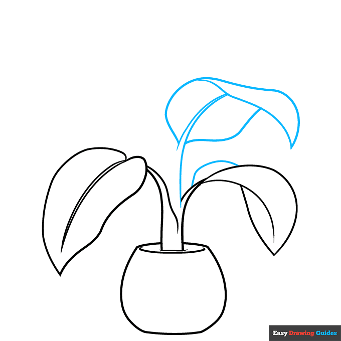 Dumb Cane Plant step-by-step drawing tutorial: step 4