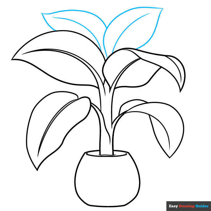 Dumb Cane Plant step-by-step drawing tutorial: step 6