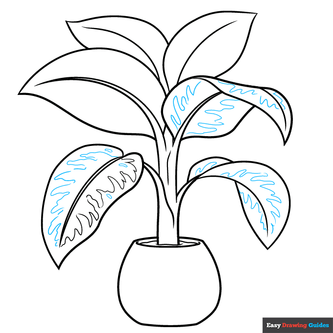 Dumb Cane Plant step-by-step drawing tutorial: step 8