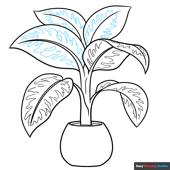 Dumb Cane Plant step-by-step drawing tutorial: step 9