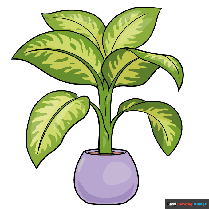 Dumb Cane Plant step-by-step drawing tutorial: step 11