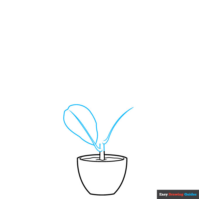 Fiddle Leaf Fig step-by-step drawing tutorial: step 2