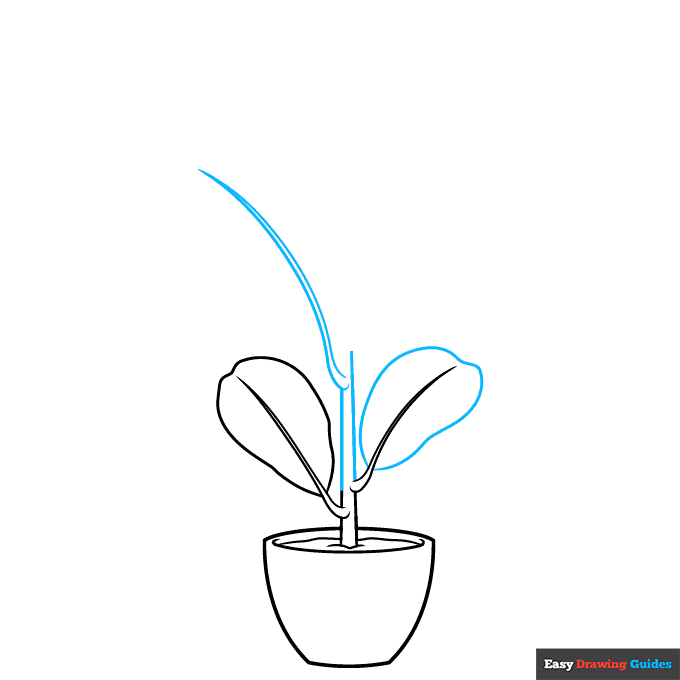 Fiddle Leaf Fig step-by-step drawing tutorial: step 3